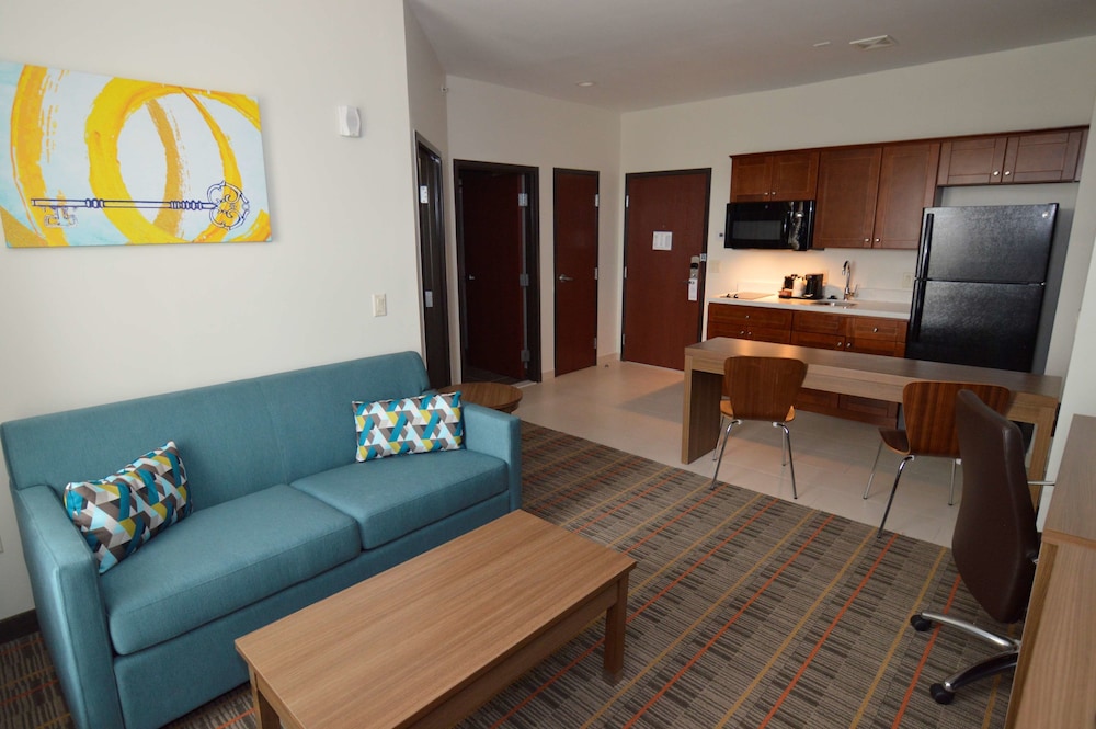 Suite, 1 King Bed, Accessible, Kitchenette (with Sofabed) - Photo 3