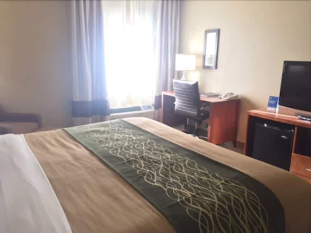 Standard Room, 1 King Bed, Ground Floor - Photo 1