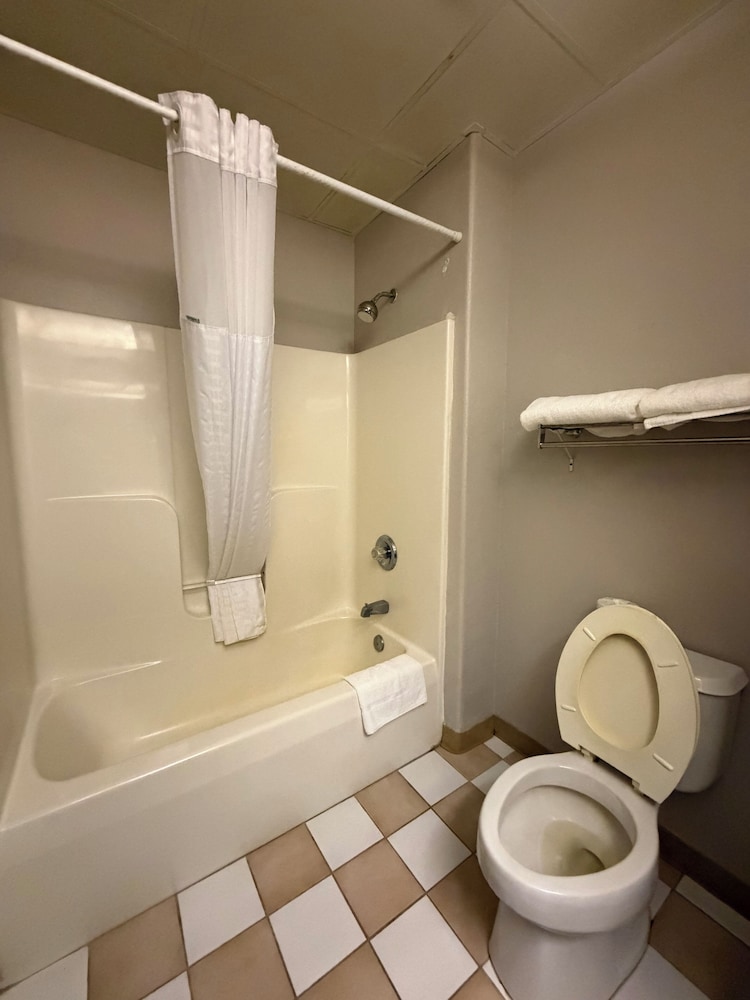 Deluxe Single Room, 1 Queen Bed, Non Smoking photo 3