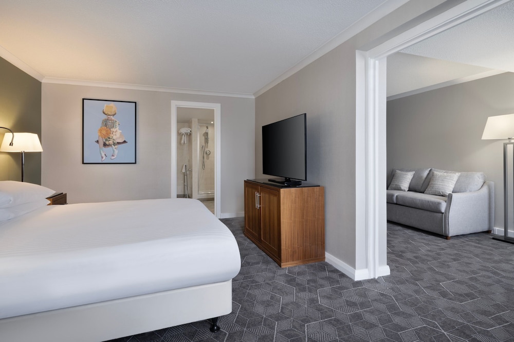 Suite, 1 King Bed with Sofa bed