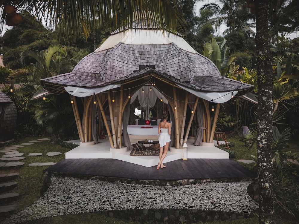 Lotus Bamboo house photo 2