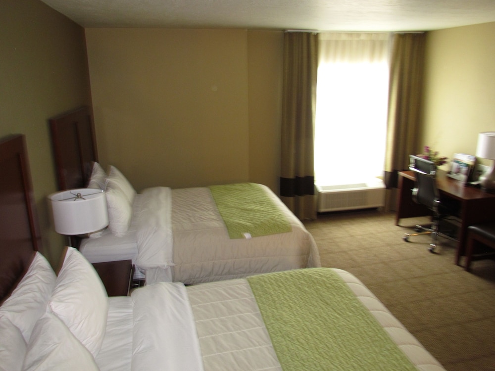 Classic Double Queen Room photo 2