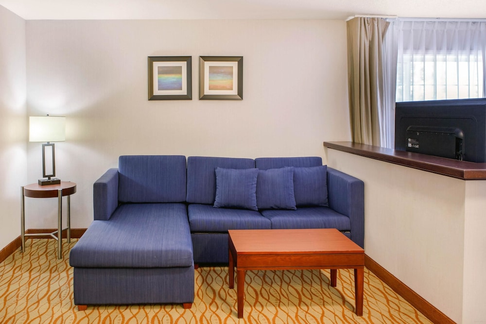 Suite, 1 King Bed, Non Smoking - Photo 4