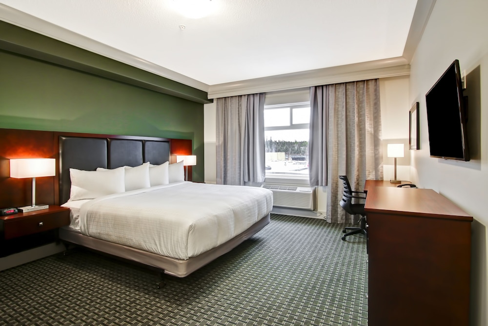 Room, 1 King Bed, Refrigerator & Microwave