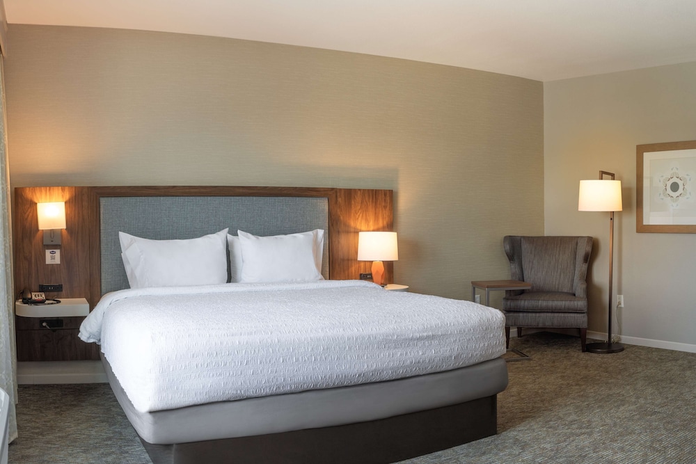 Suite, 1 King Bed with Sofa bed photo 2