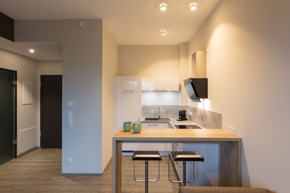 Superior Apartment photo 2