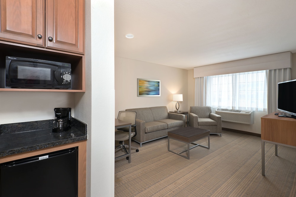 Suite, 1 Bedroom - Photo 3