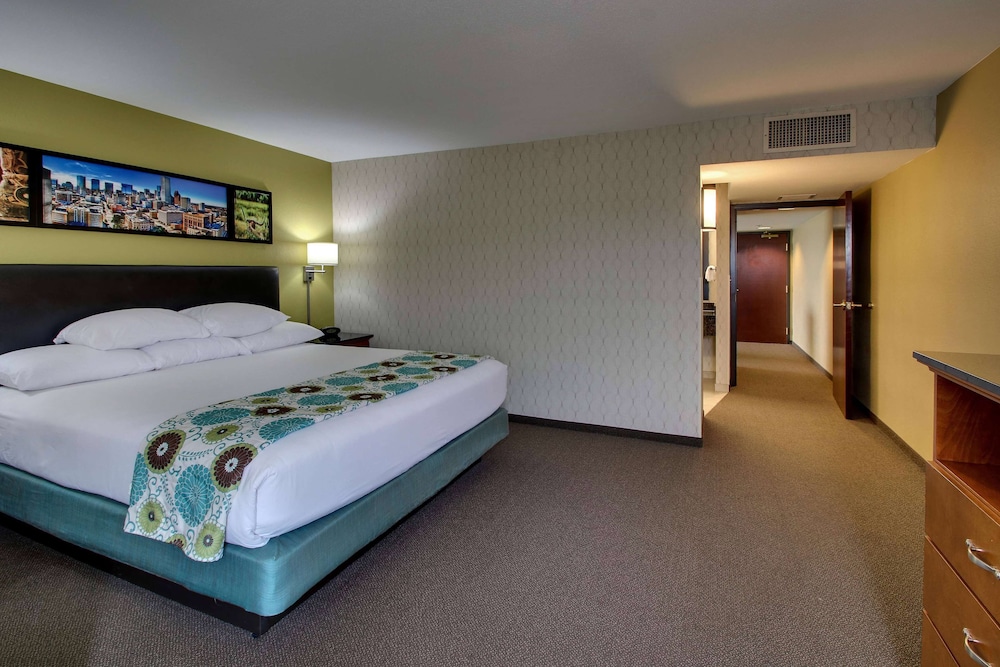 Deluxe Suite, 1 King Bed, Non Smoking - Photo 9