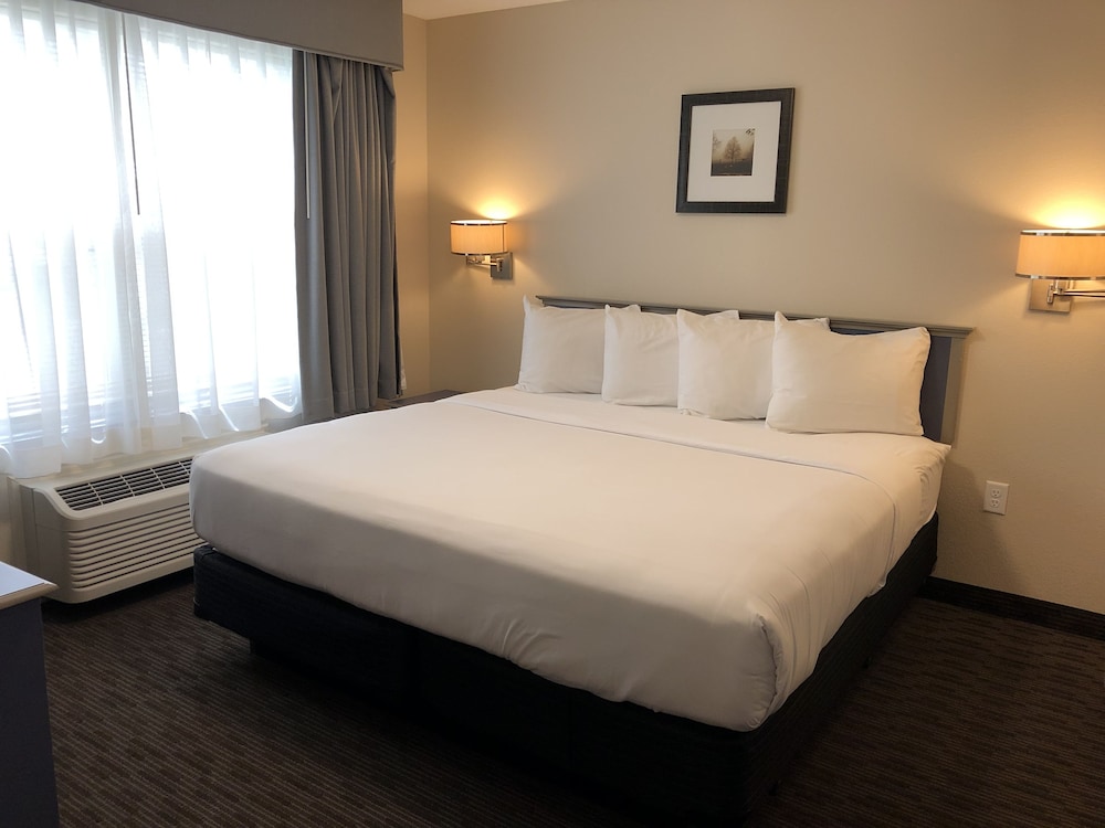 King One-Bedroom Suite photo 3