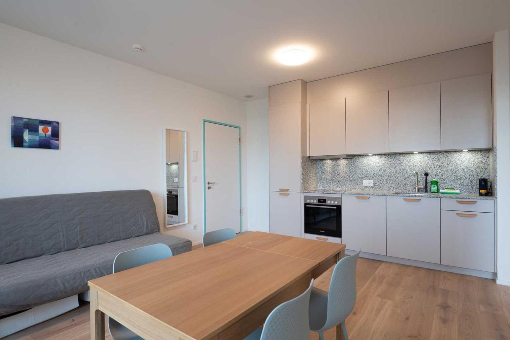 One Bedroom Apartment with balcony X