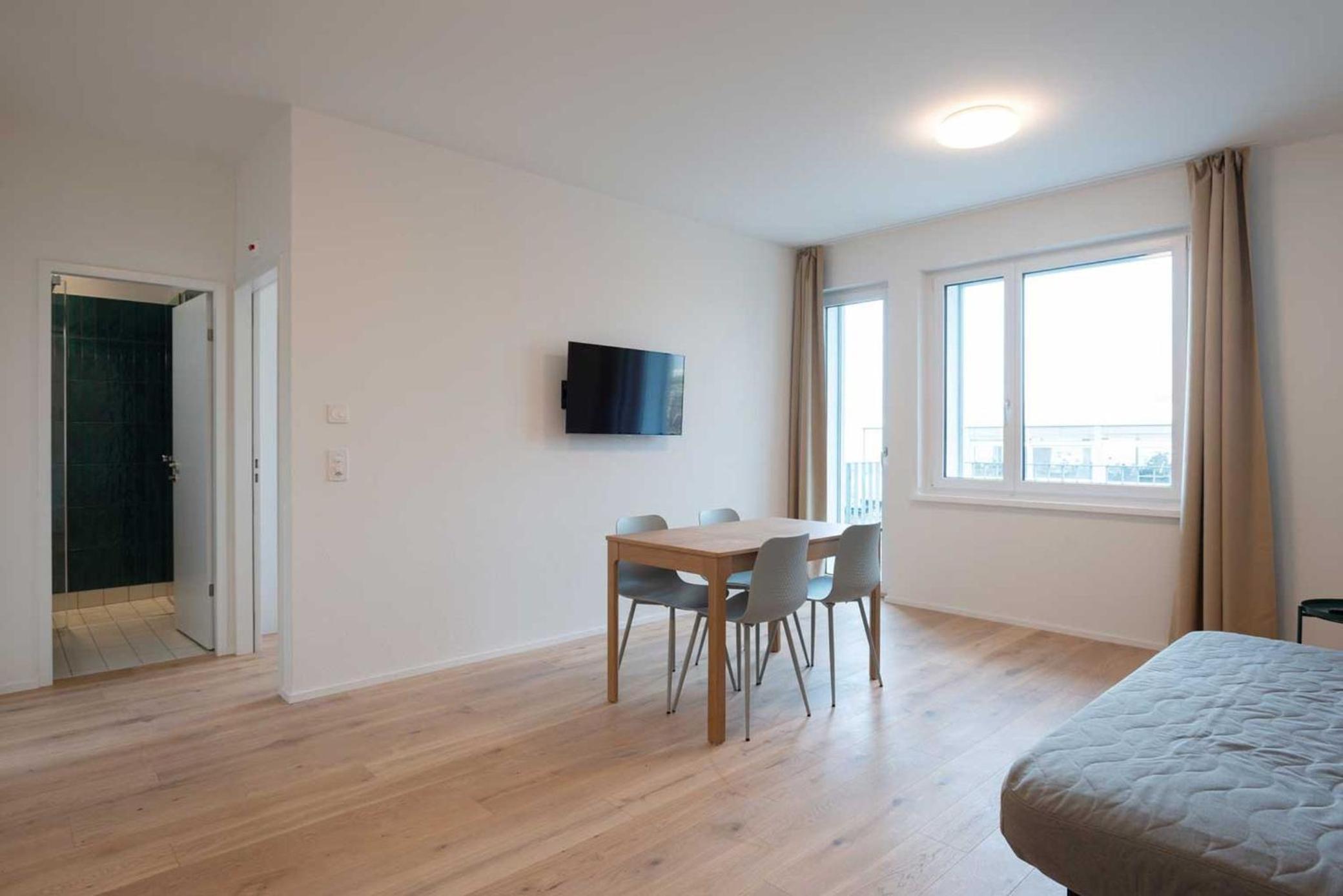 One Bedroom Apartment with balcony O