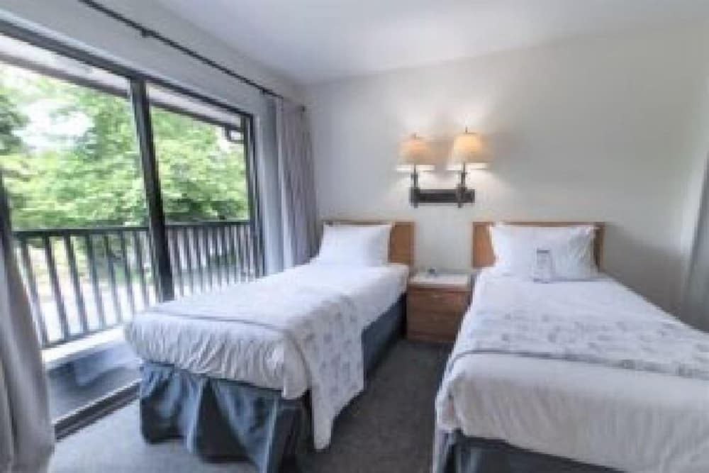 Suite, Harbor View photo 3