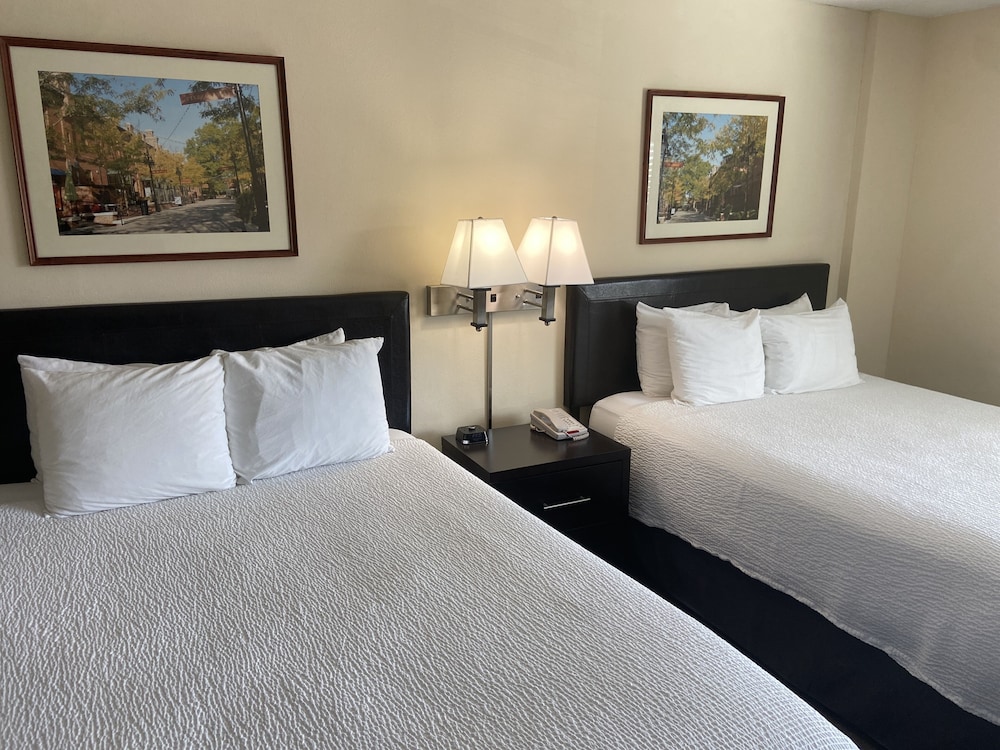 Studio Suite, Multiple Beds, Kitchenette - Photo 1
