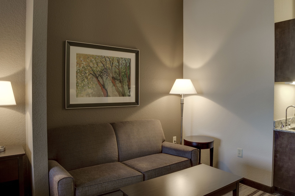 Suite, 1 King Bed, Accessible (Mobility, Accessible Tub) photo 1