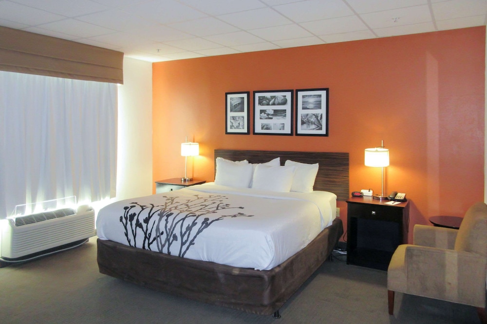 Standard Room, 1 King Bed, Non Smoking - Photo 1