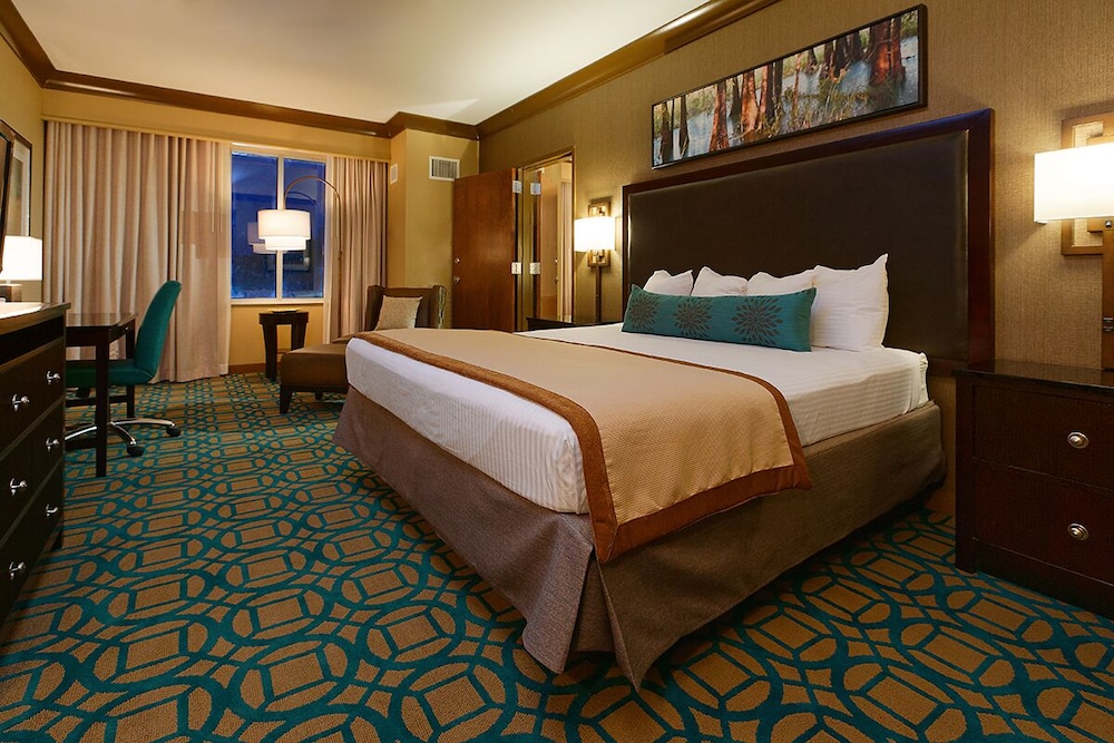 Deluxe Single Room photo 1