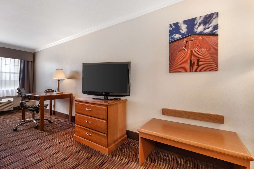 Standard Room, 1 King Bed, Non Smoking, Refrigerator & Microwave - Photo 3