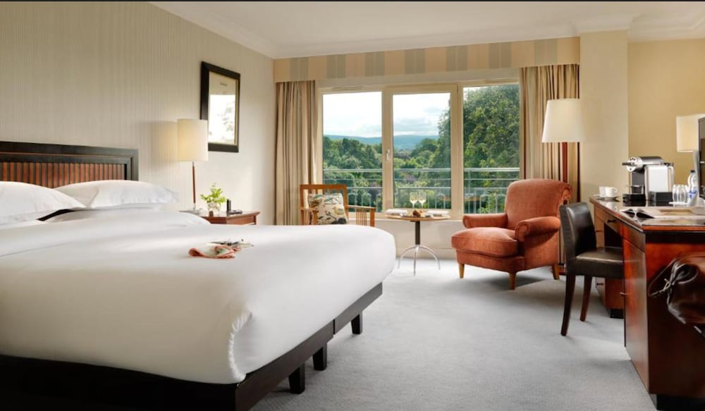 Executive Room, 1 King Bed photo 3