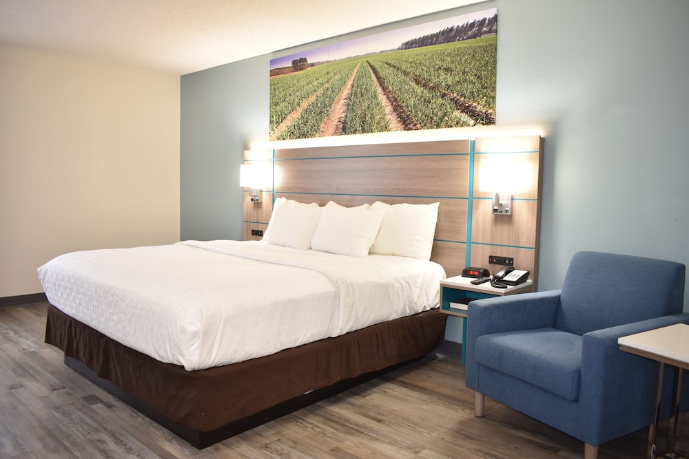 Room, 1 King Bed, Accessible, Non Smoking (Roll-in Shower) - Photo 3