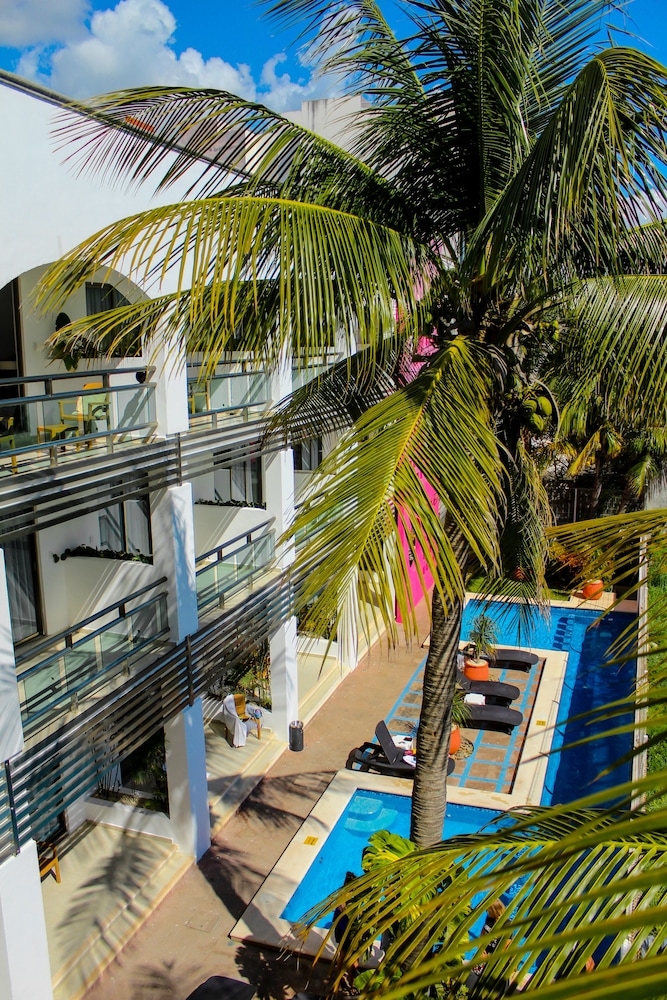 Standard Room, 1 Bedroom, Ocean View, Oceanfront - Photo 10