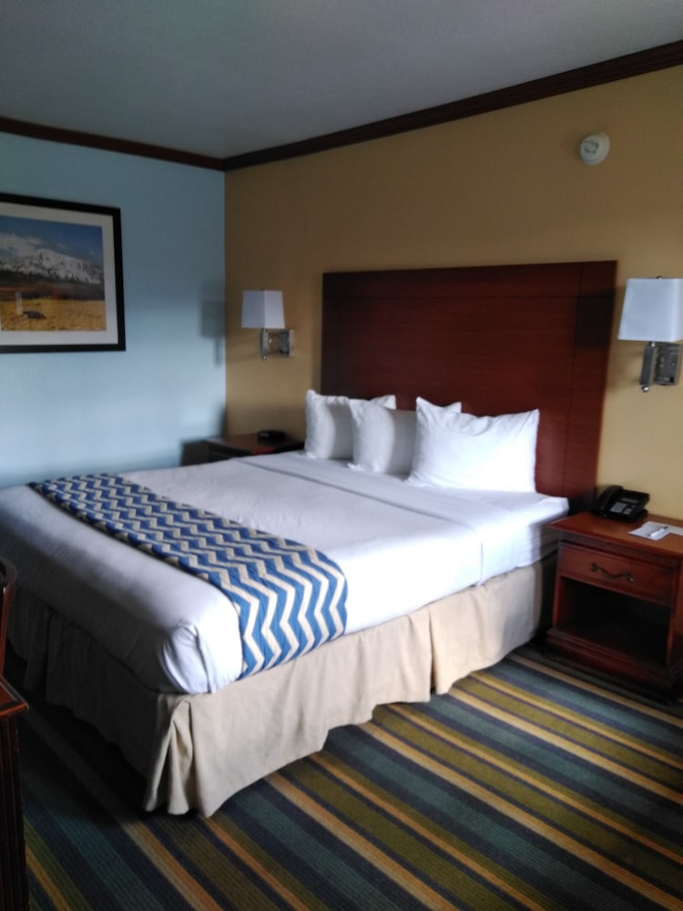Suite, 1 King Bed, Non Smoking, Refrigerator & Microwave photo 1