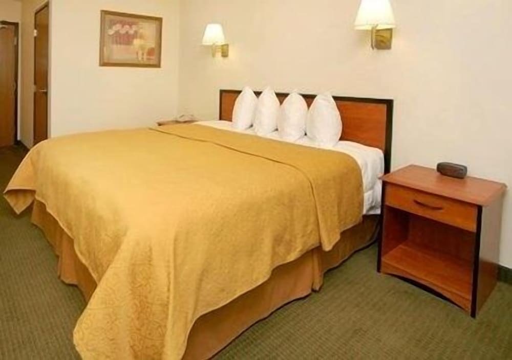 Standard Room, 1 King Bed, Non Smoking - Photo 1