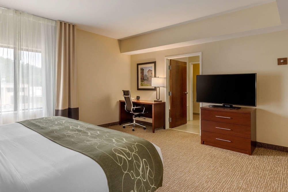 Suite, 1 King Bed, Non Smoking - Photo 5