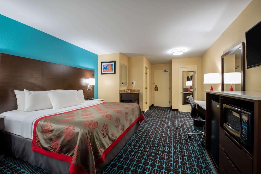 Suite, 1 King Bed photo 1