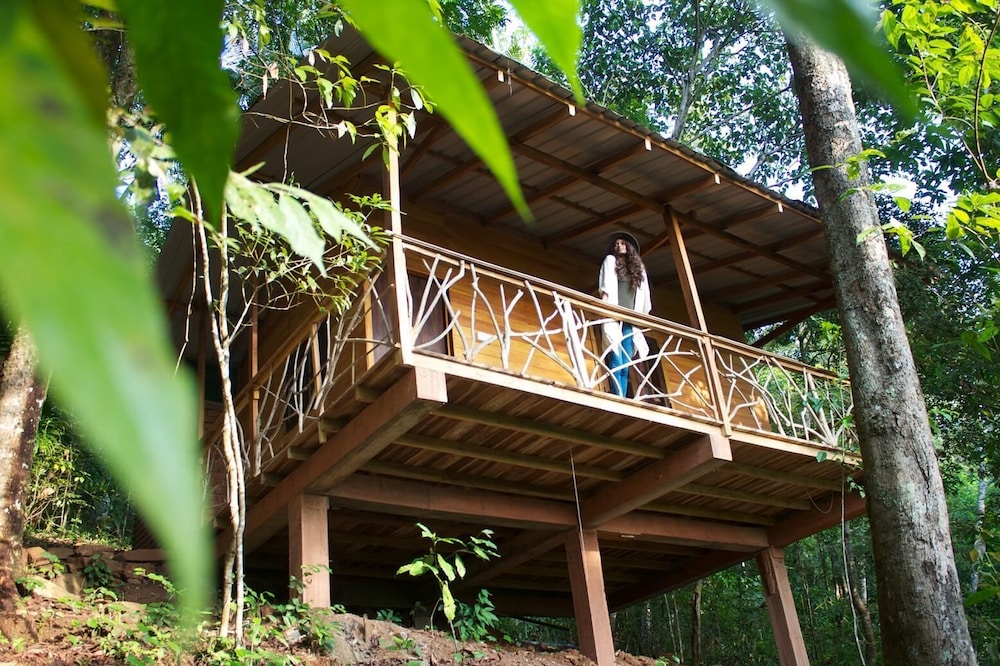 Deluxe Cabin, 1 Bedroom, Non Smoking, Garden View photo 1