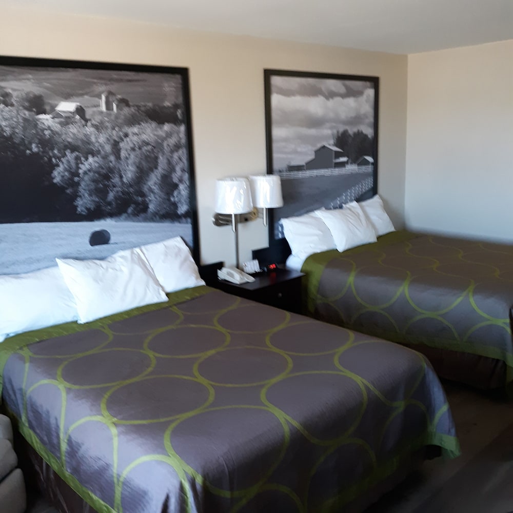 Studio Suite, 2 Double Beds, Smoking photo 3