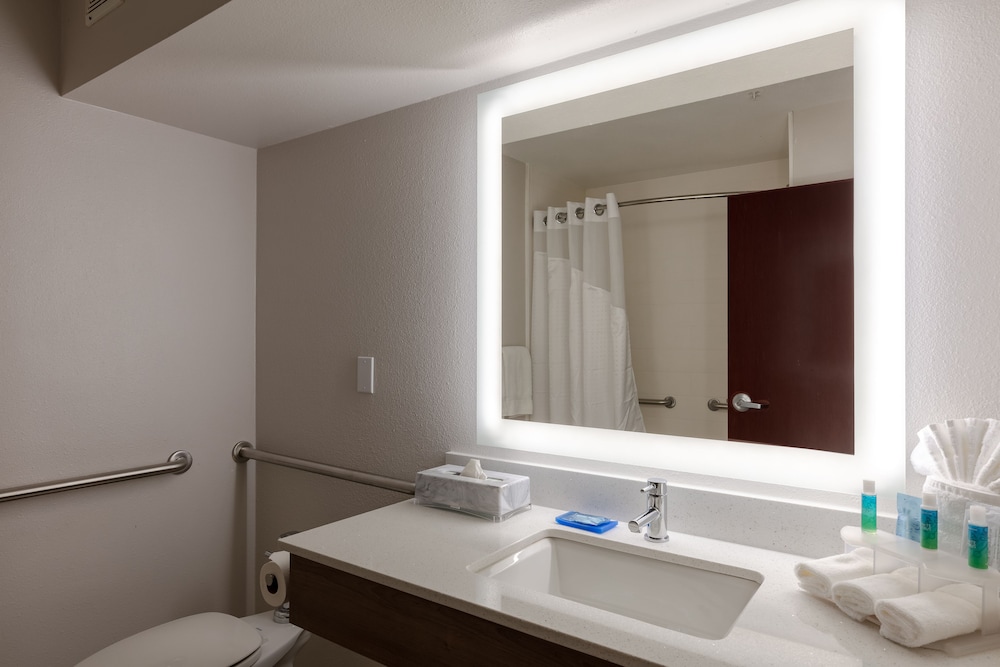 Suite, 1 Bedroom, Accessible (Comm, Accessible Tub) - Photo 4