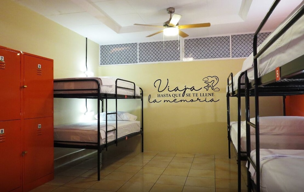 Basic Shared Dormitory, Multiple Beds photo 1