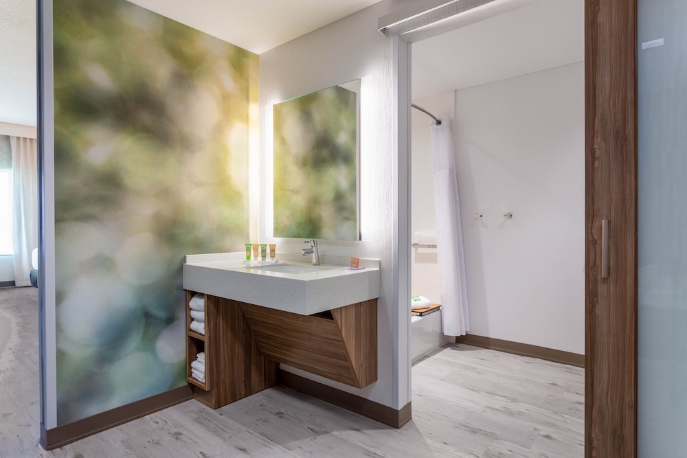 Deluxe Studio Suite, 1 King Bed, Accessible, Non Smoking (Mobility)