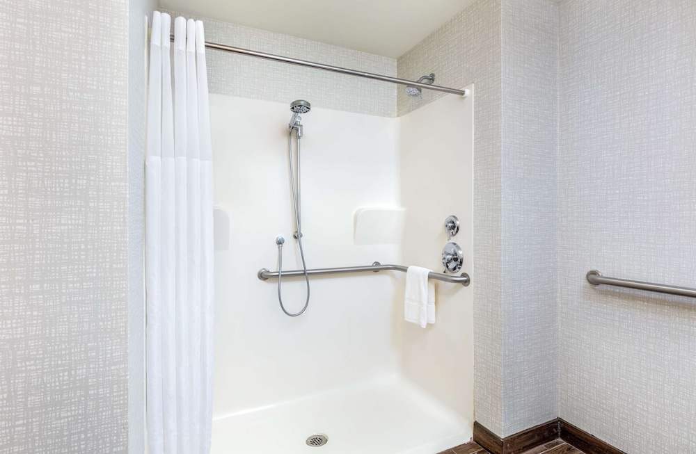 Studio, 1 King Bed, Accessible, Non Smoking (Mobility & Hearing, Roll-In Shower) - Photo 7