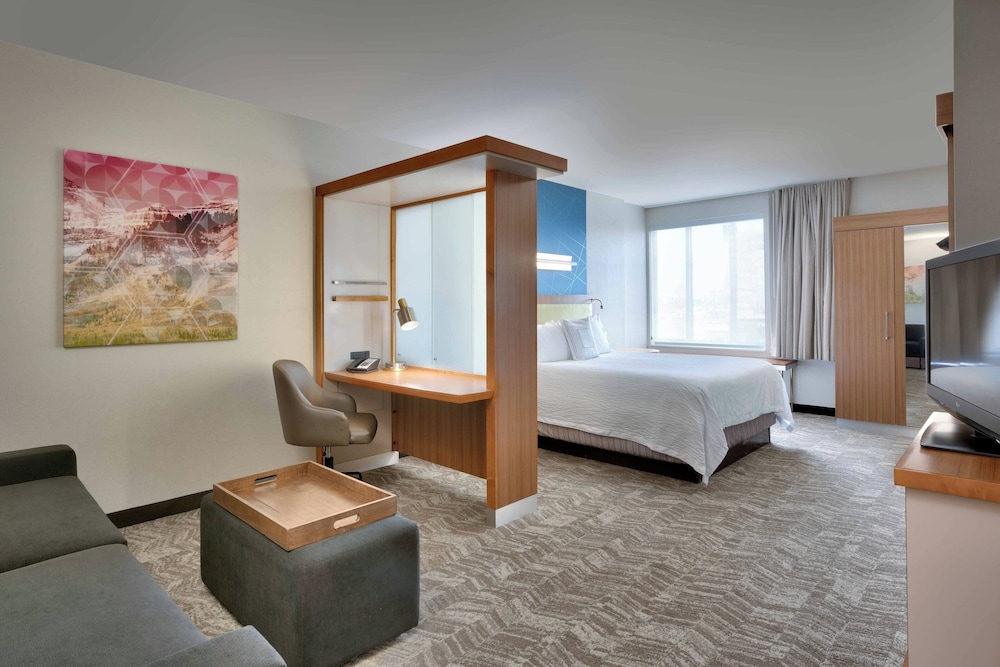 Suite, 1 King Bed with Sofa bed (Mobility/Hearing Access, Roll-in Shwr) - Photo 2