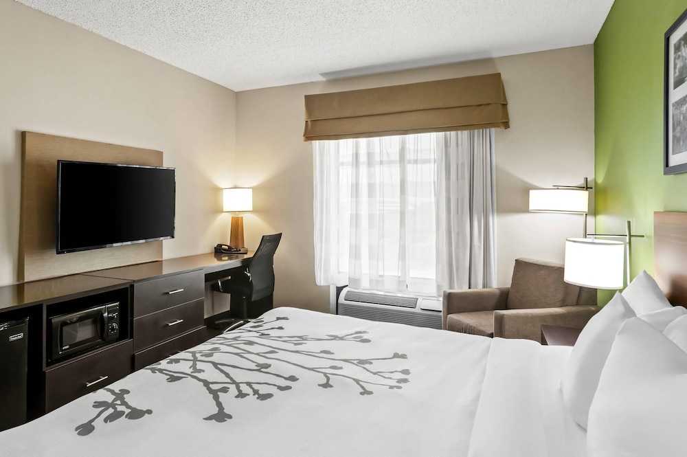 Standard Room, 1 King Bed, Non Smoking - Photo 4