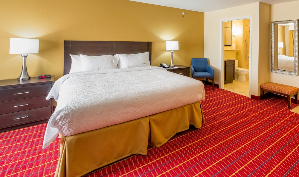 Studio Suite, 1 King Bed with Sofa bed