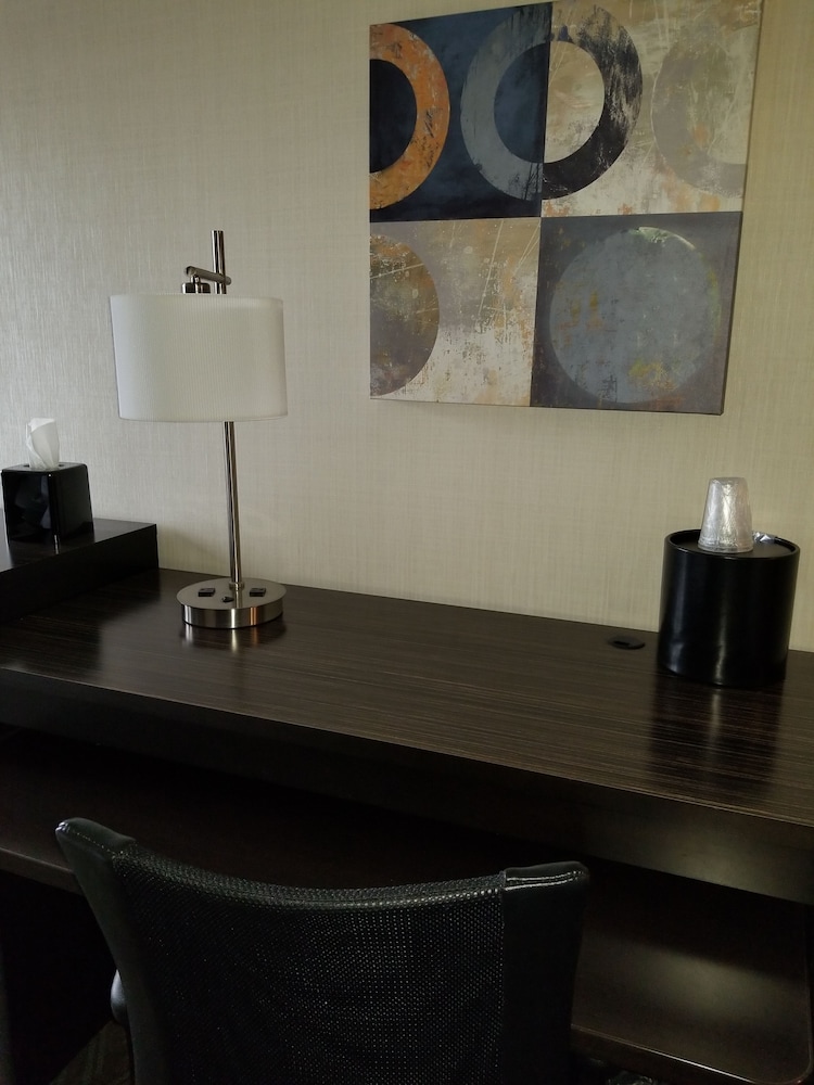 Holiday Inn Youngstown-South - Boardman by IHG, Zdjęcie 3
