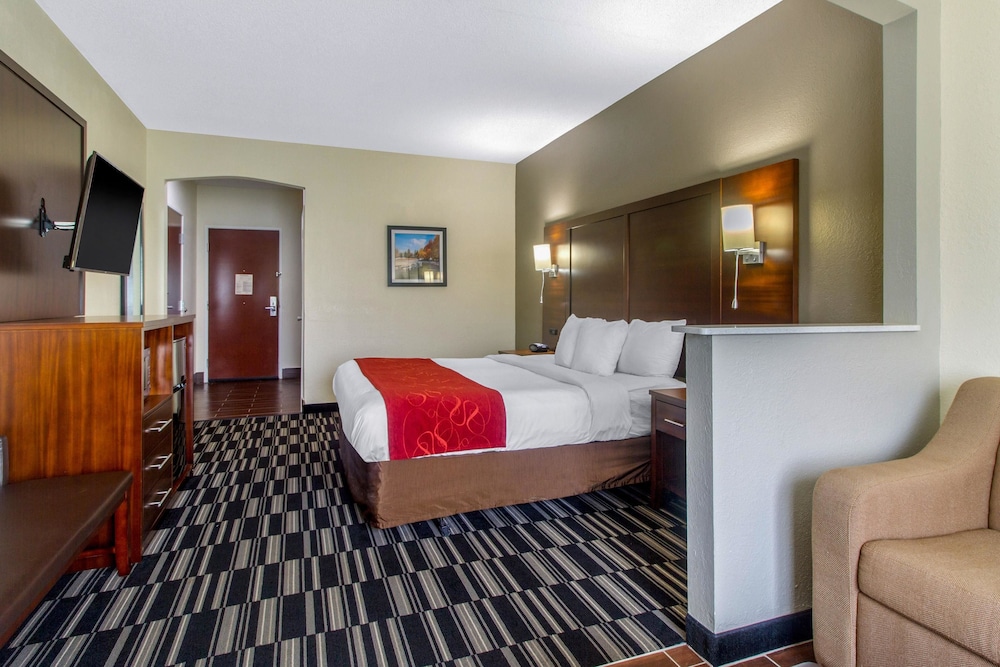 Suite, 1 King Bed with Sofa bed, Accessible, Non Smoking photo 1
