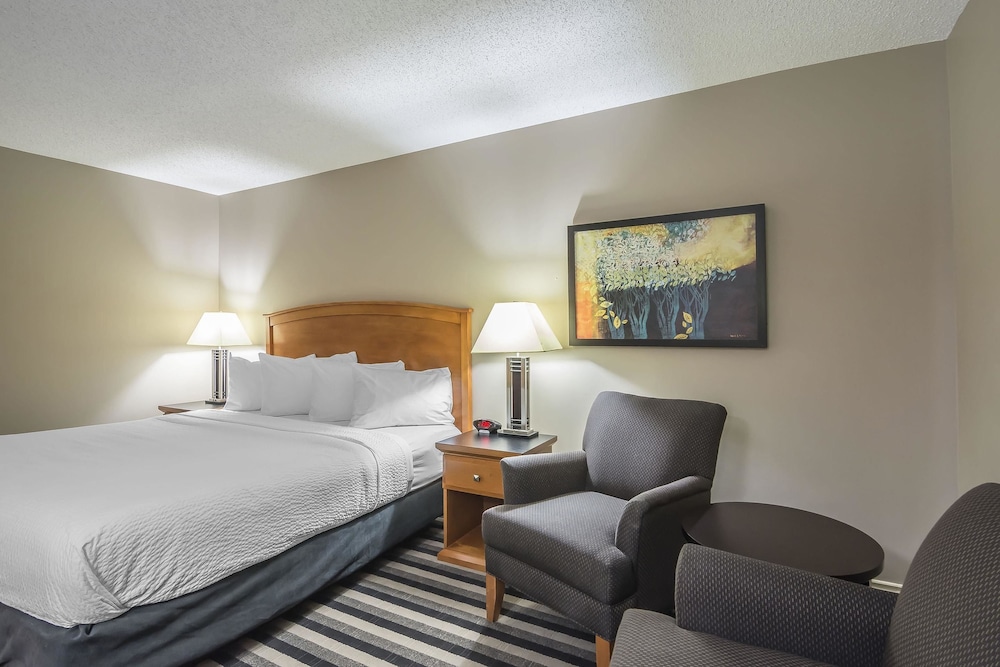Business Room, 1 King Bed - Photo 4