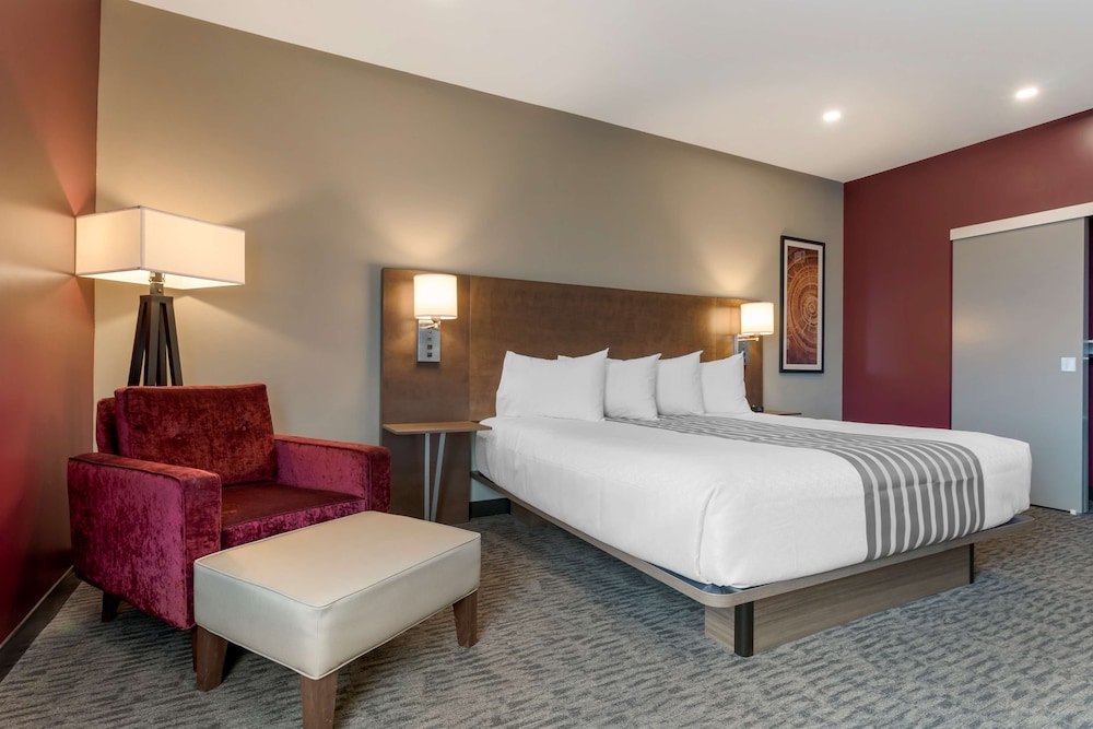Standard Room, 1 King Bed, Accessible, Refrigerator & Microwave photo 2
