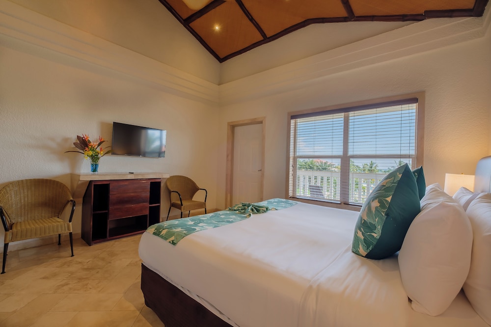 Room, 1 King Bed (Panoramic View)