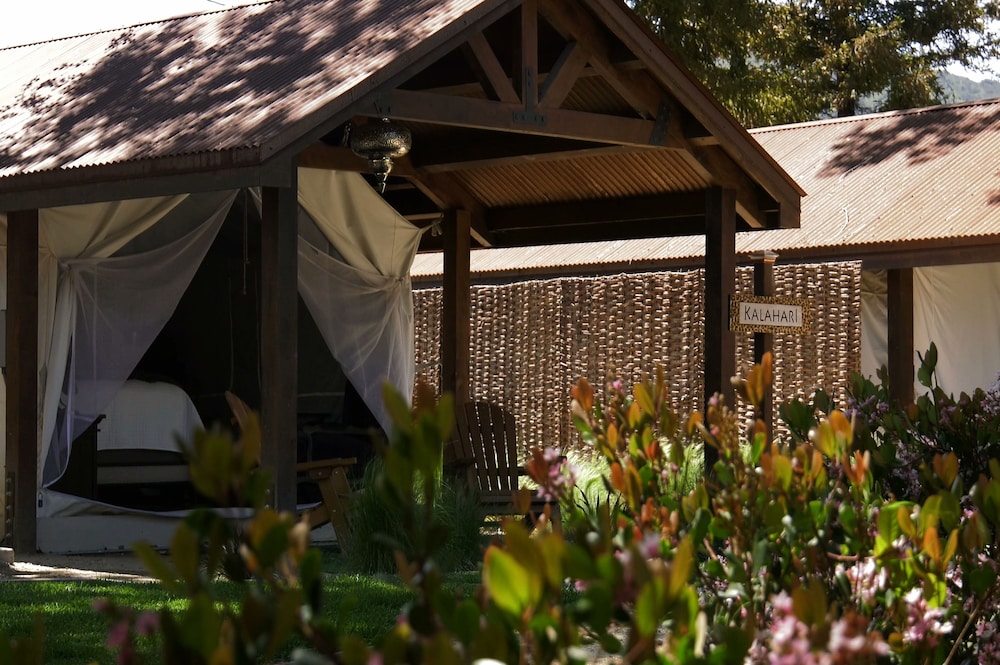 Safari Tent King with bunks photo 3