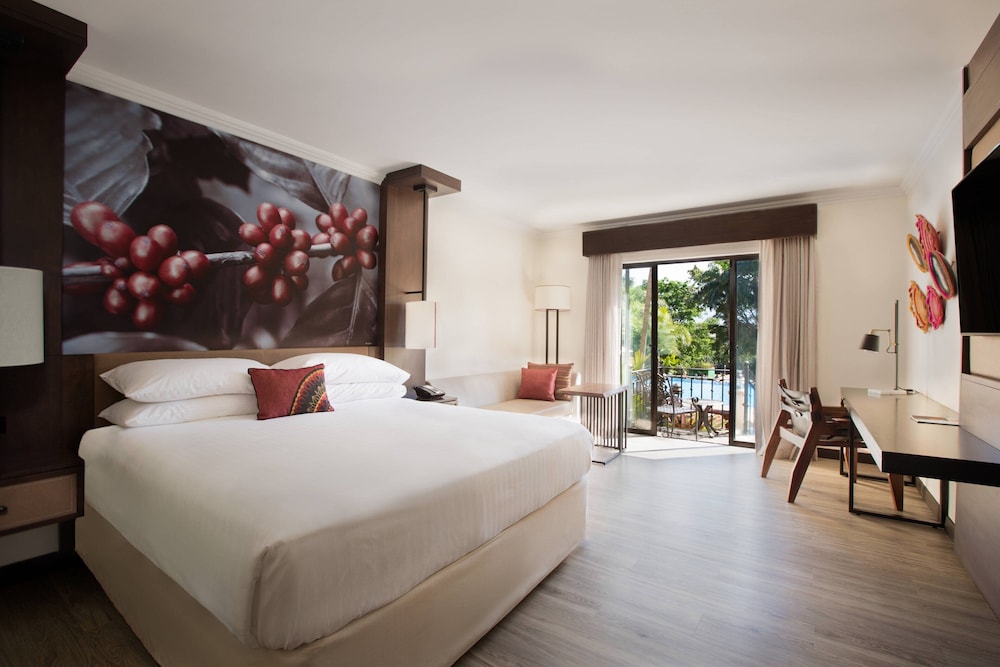 Room, 1 King Bed, Pool Access