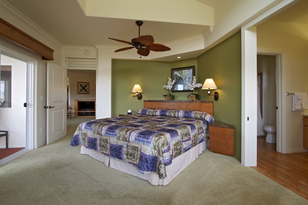 Suite, 1 Bedroom - Photo 1