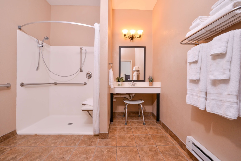 Standard Room, 1 King Bed, Accessible, Refrigerator & Microwave (Larger Room;With Sofabed) - Photo 2