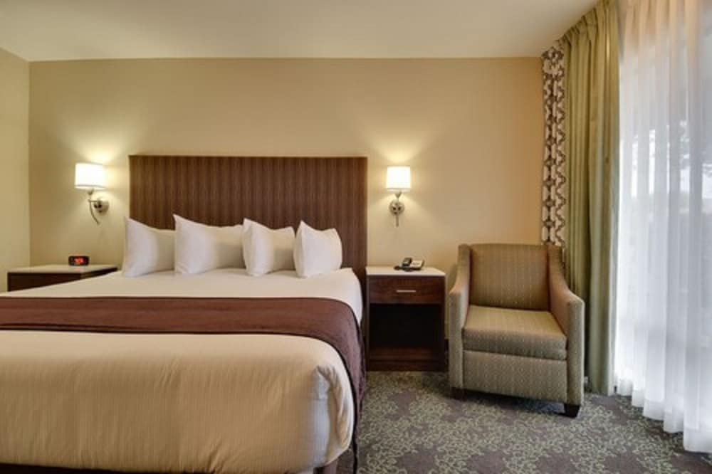 Deluxe Room, 1 King Bed photo 1