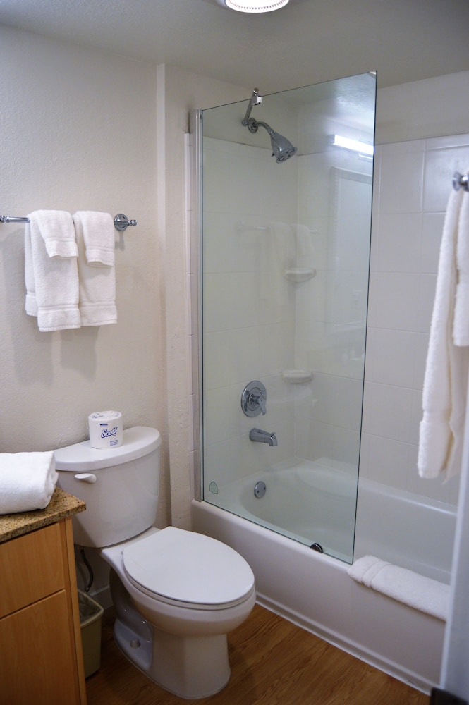Executive Suite, 1 Bedroom, Kitchen photo 2