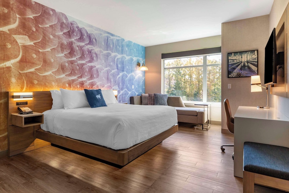 Room, 1 King Bed, Non Smoking - Photo 3