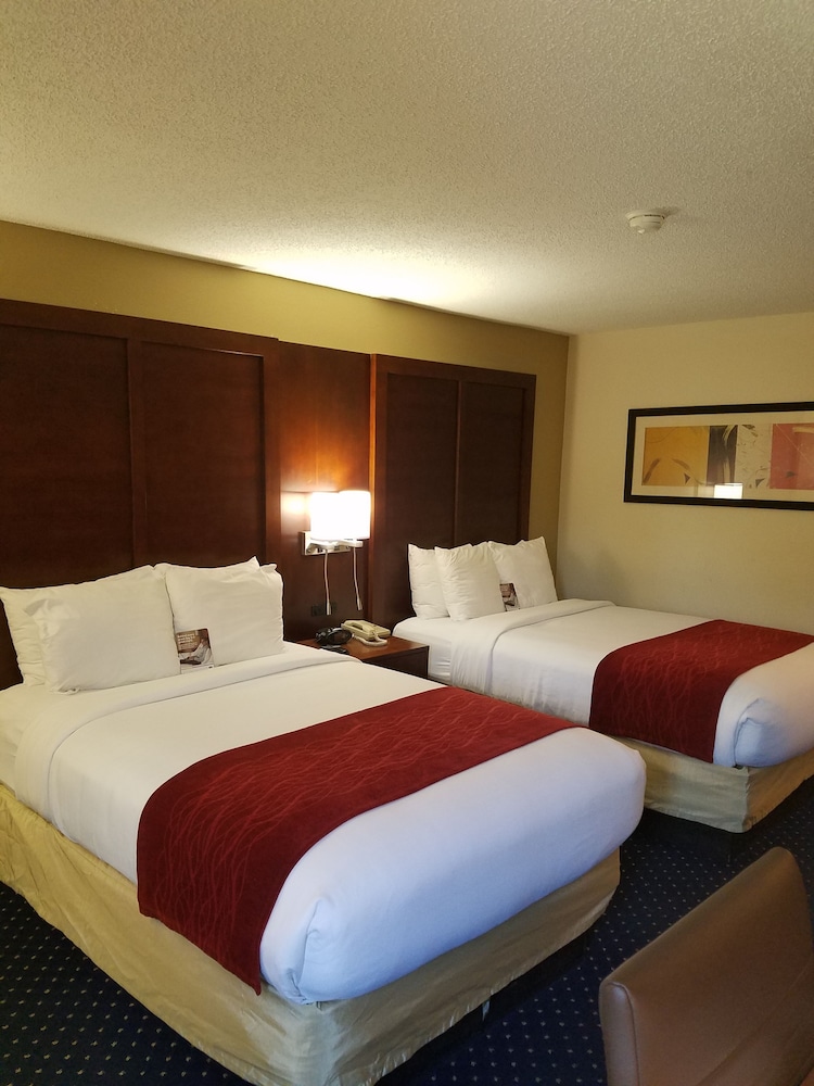 Standard Room, 2 Double Beds - Photo 2